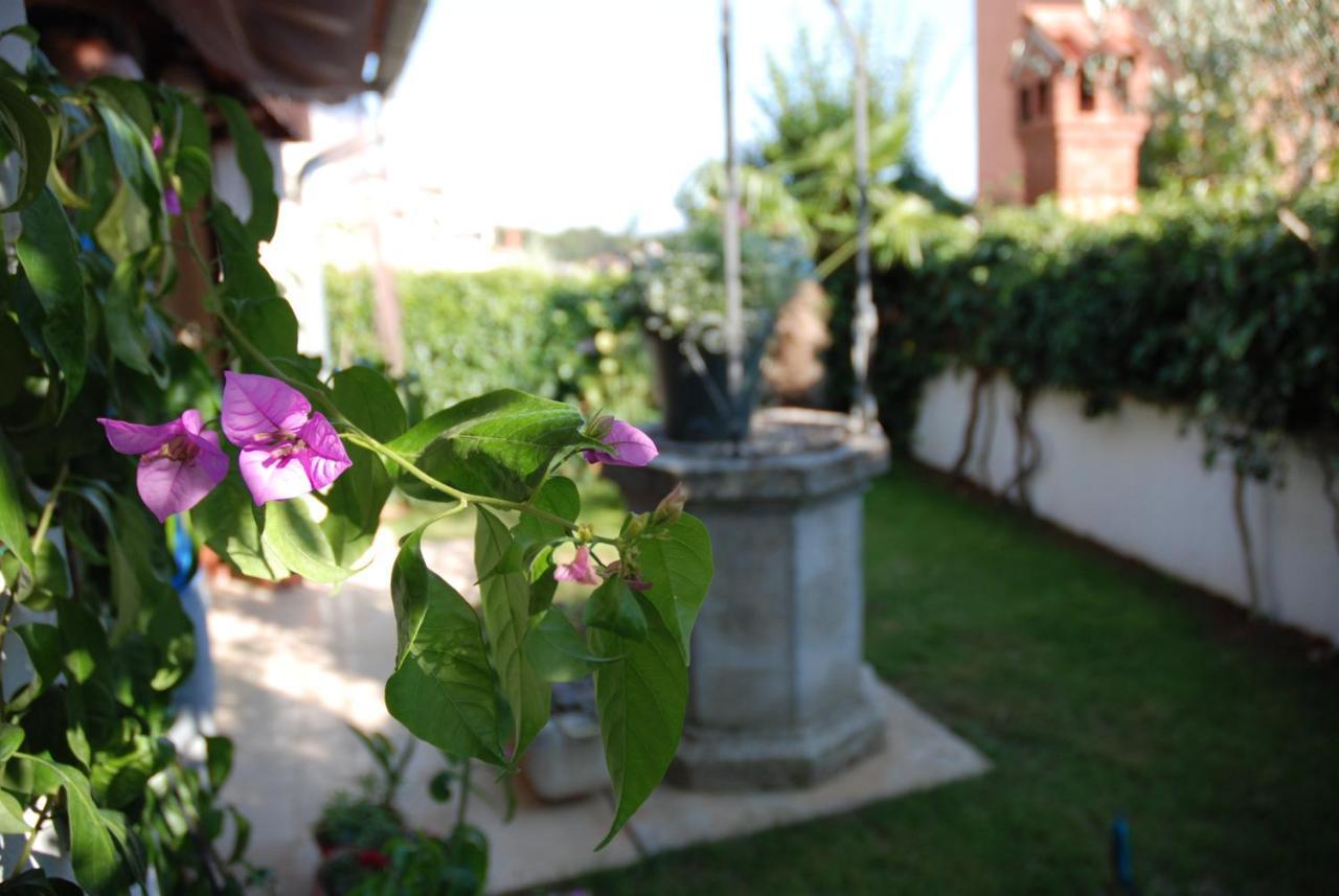 B&B Sea Joy Rovinj Eksteriør billede